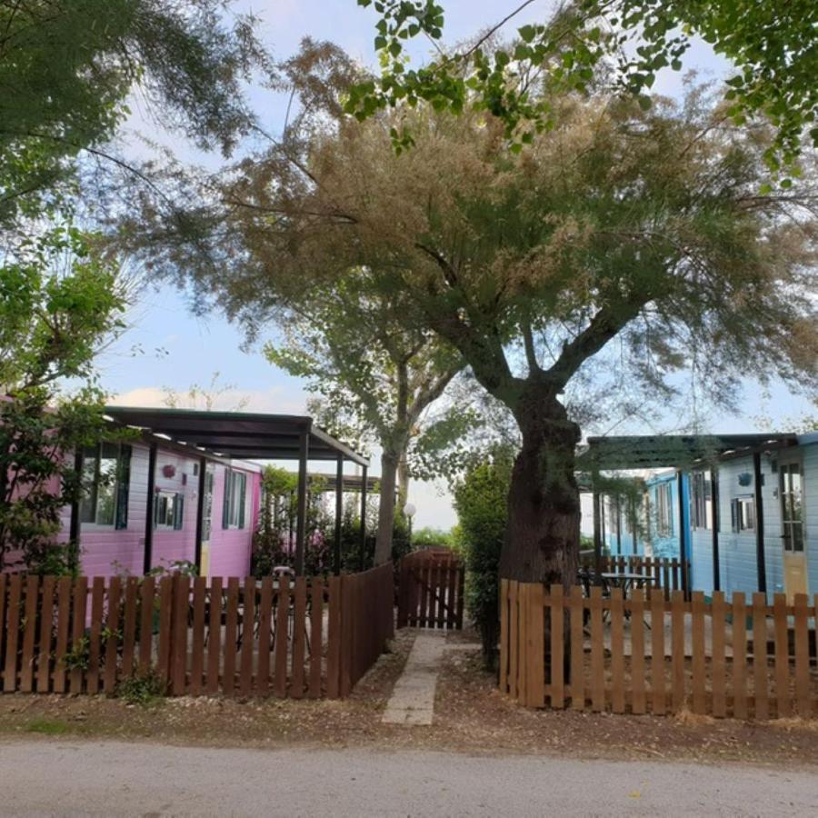 Pet Family Camping Cortina Hotel Senigallia Eksteriør billede
