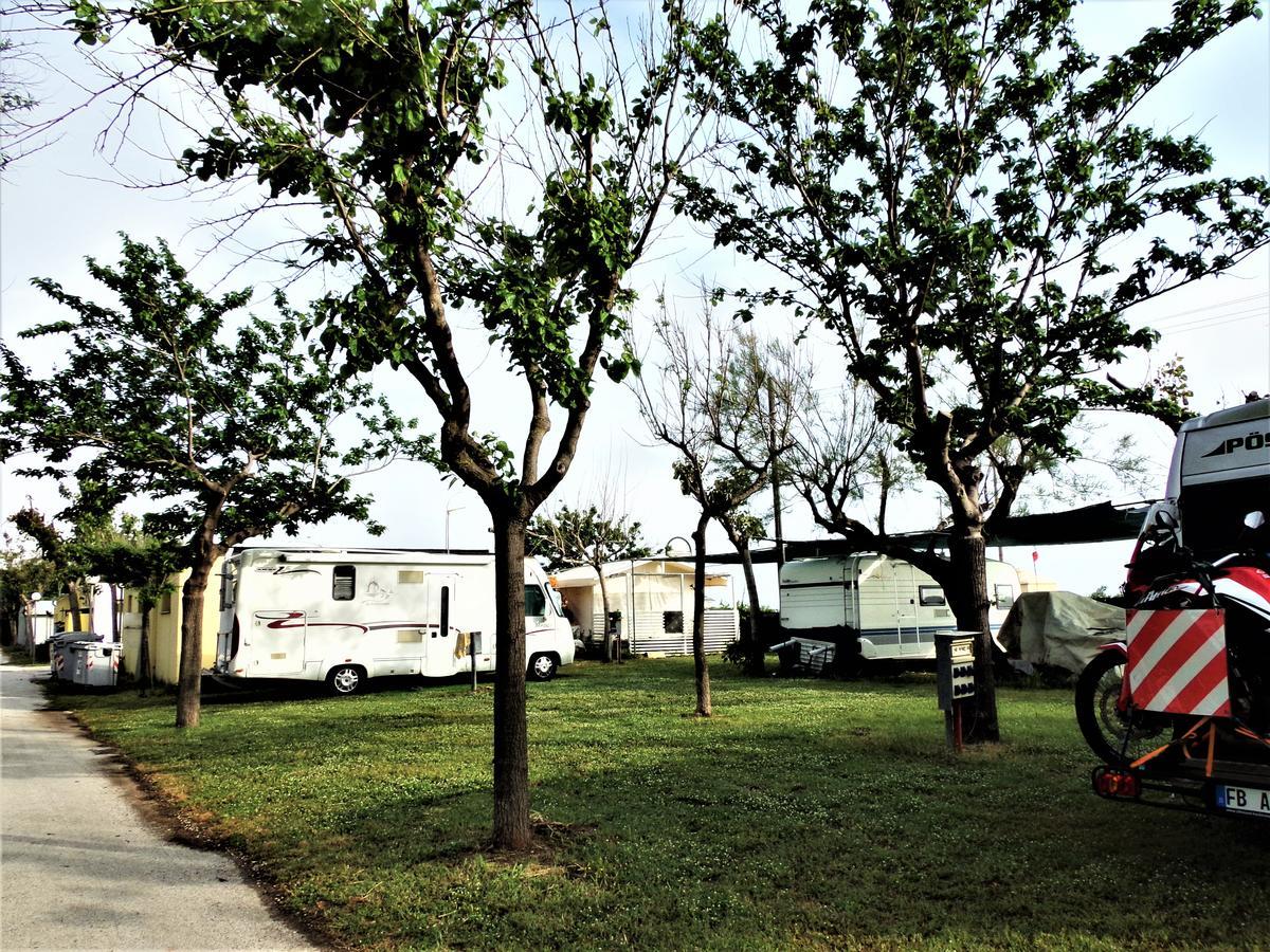 Pet Family Camping Cortina Hotel Senigallia Eksteriør billede